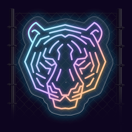 RGB Gradient Neon Lightning